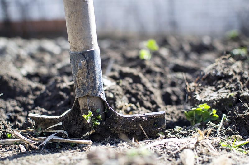Soil Health